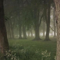 dreams tonite - alvvays sped up