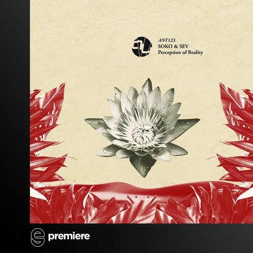 Premiere: Soko & Sev - Perception Of Reality - AnalyticTrail