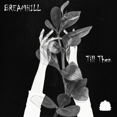 BREAMHILL - Till Then