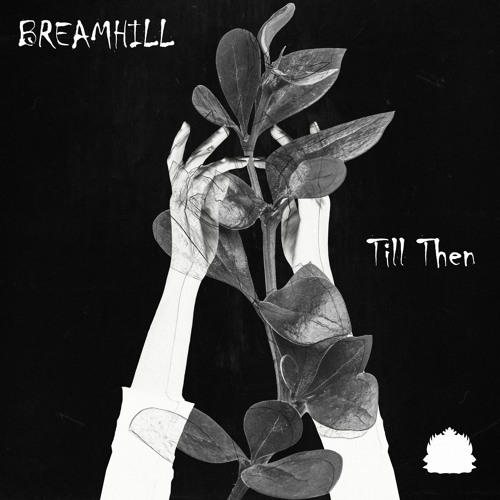 cover - BREAMHILL - Till Then