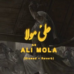 Ali Mola |Slowed + Reverb | دانيال الشرفي ❤️‍🩹