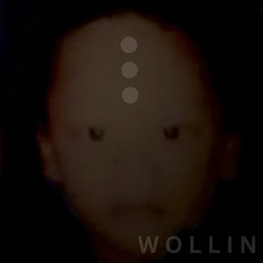 WOLLI(N)