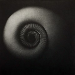 Rozengeur & Maneschijn