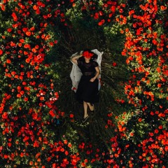 Prettiest Virgin - Agar Agar (Mooseface Dabada Edit)