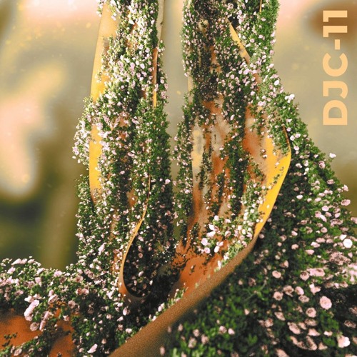 DJC-11 Soulsoothe House