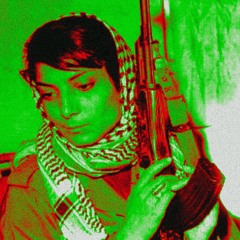 REVOLUCE ZACNE S GAZOU