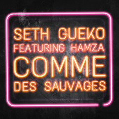 Comme des sauvages (feat. Hamza)