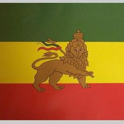 Знамя со львом. Лев флаг страны. Красный флаг со львом. Герб на красном фоне. Флаг социалистической шри ланки.