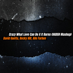 David Guetta, Alle Farben - Crazy What Love X It Burns (HADEN Mashup)  FREE DL IN DESCRIPTION