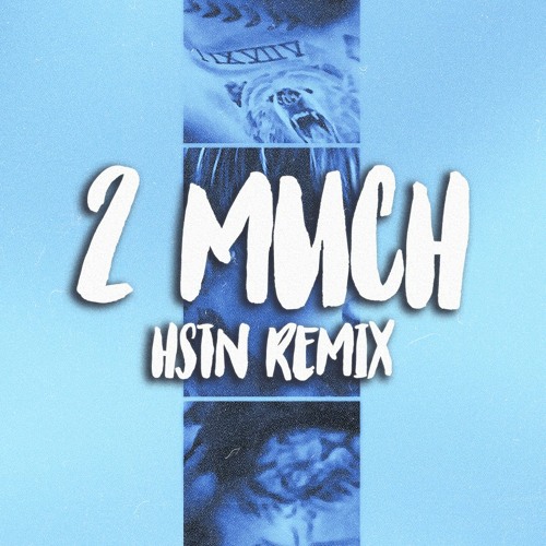 Justin Bieber - 2 Much (HSTN Remix)