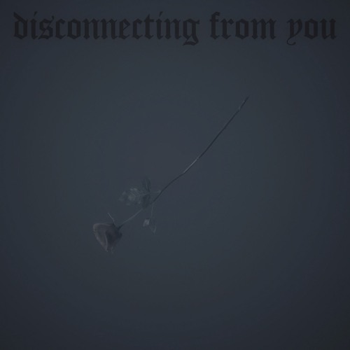 disconnecting from you