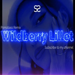 Nina Chuba - Wildberry Lillet (Pornobass Remix)