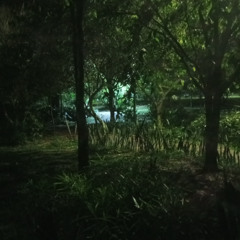 ☼SET SESSIONS-MIKE-HAUSE☼