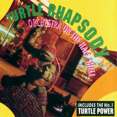 Turtle Power
