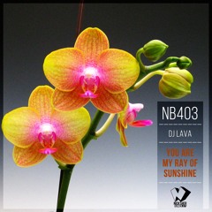 DJ Lava - You Are My Ray of Sunshine (Original Mix)