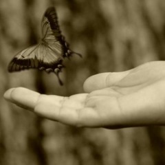 Set Ur Punani Free!