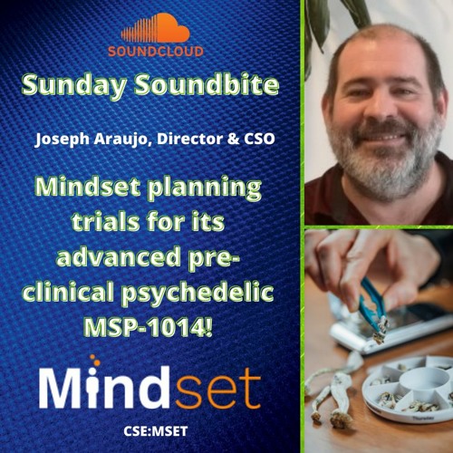 Mindset Planning Trials for its Advanced Pre-Clinical Psychedelic MSP-1014!