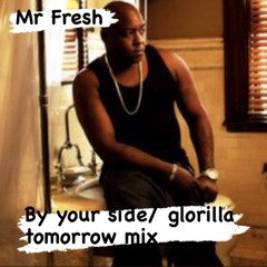 MR FRESH- BY YOUR SIDE/GLORILLA TOMORROW MIX