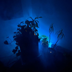 Doula live @ Plants Love Bass 3.24.24