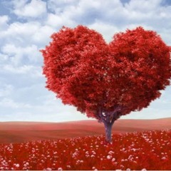 DAKOTA jungle mix by golan