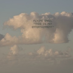 Flying Snail - Colorful Garden DJ Set