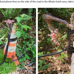 Regina Costa of TURN On Frontier Phone Company