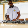 DJ Perception - Live From Dimensions 25' DJ mix artwork - Electronic music tracklist cover image