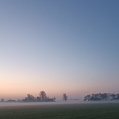 Morgenvroeg at Oosterzee