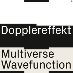 Multiverse Wavefunction