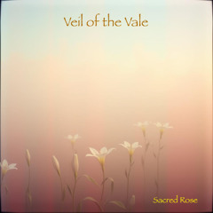 Veil of the Vale (Sacred Rose)