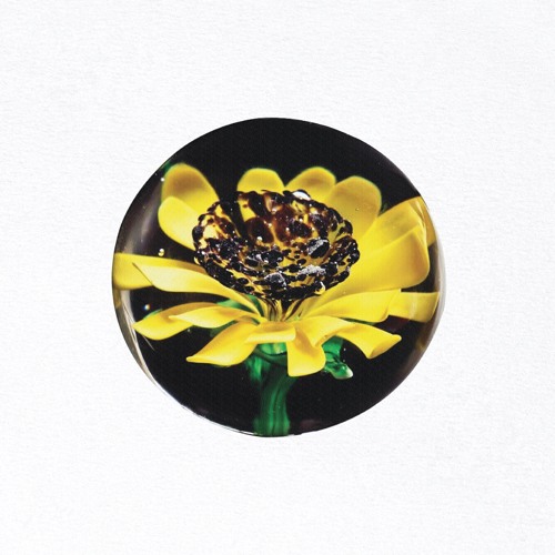Sunflower Aquarium - Untitled LP [PCLTD07]