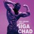 Artwork for GigaChad Theme Phonk (Super Slowed + Reverb)