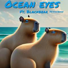 Ocean Eyes ft Blackbear - Billie Eilish (Dj FiTZ Remix)