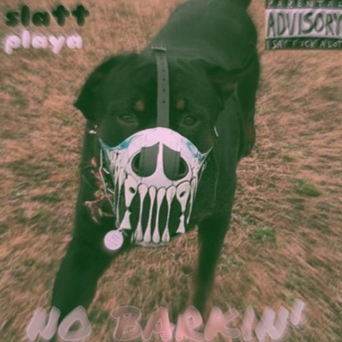 slatt playa-no barkin
