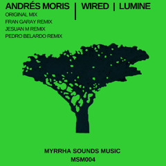 André Moris - Wired (Fran Garay Remix) [MSM004]