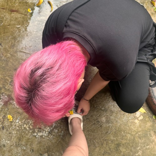 dãy số trọn đời trọn kiếp