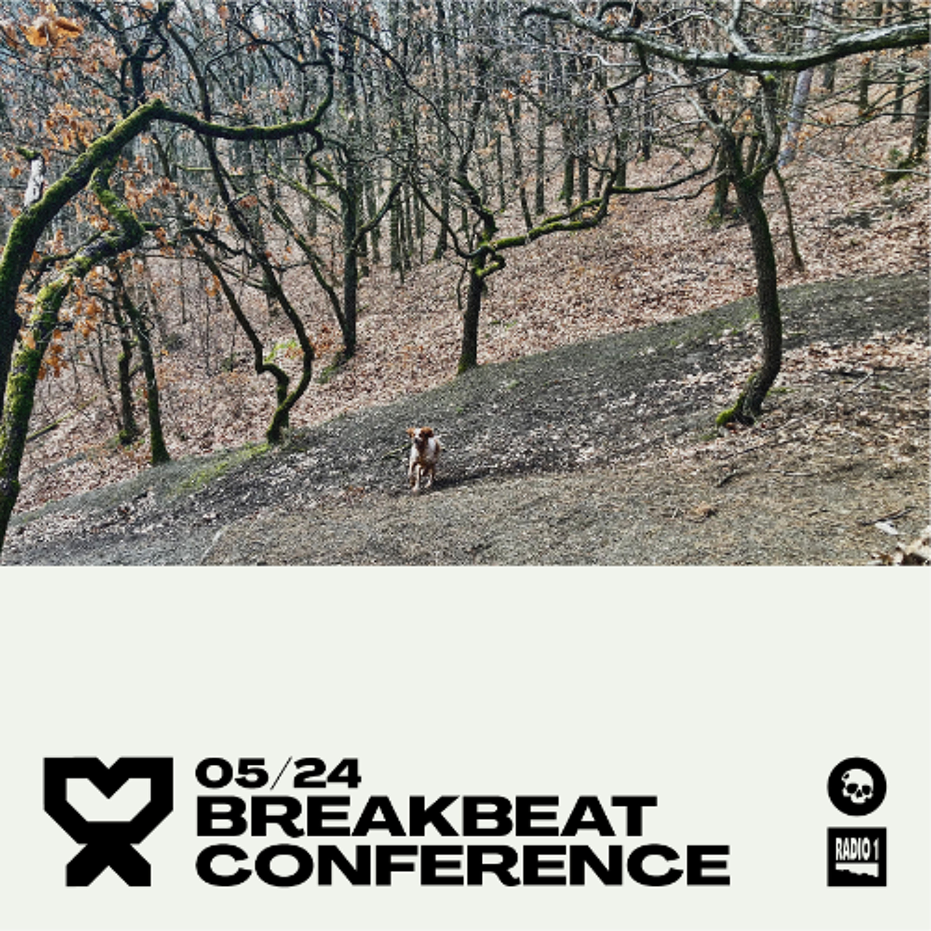 Breakbeat Conference