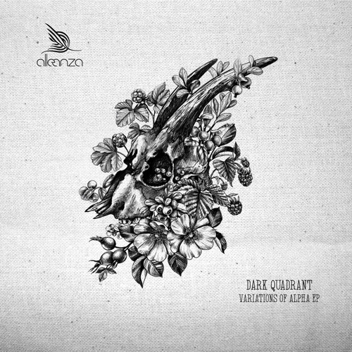 Imaginative Insights