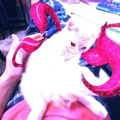 БЕДНАЯ БАБКА