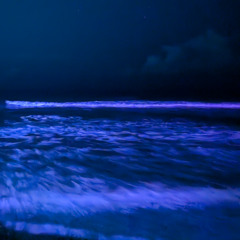 DEMO - My Own Frequency (MARS)