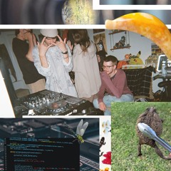 slumb n frends - grad party