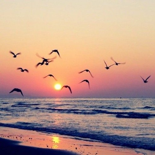 K rang lagiya ishq daa