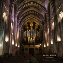 Serenity Sublime (Organ Solo)