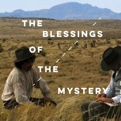 1. Ballroom Marfa Transmissions ~ Carolina Caycedo & David de Rozas