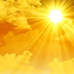 Force & Styles - Sunshine 🌞 - Unreleased (1999)
