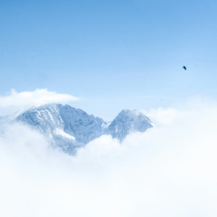Higher