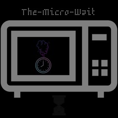 The-Micro-Wait