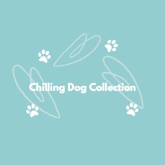 Charming Ambience for Doggy Sunshine