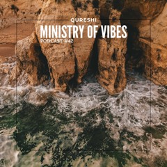 Ministry Of Vibes - Podcast #42