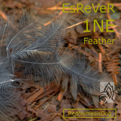 EsReVeR 1NE Feather
